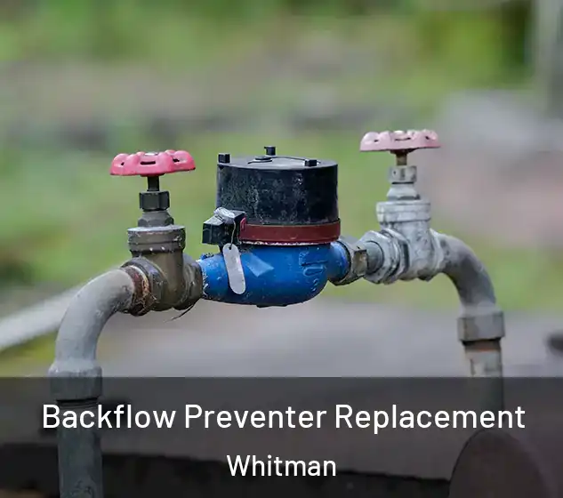  Backflow Preventer Replacement Whitman