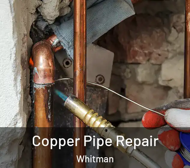  Copper Pipe Repair Whitman