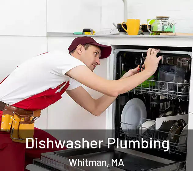  Dishwasher Plumbing Whitman, MA