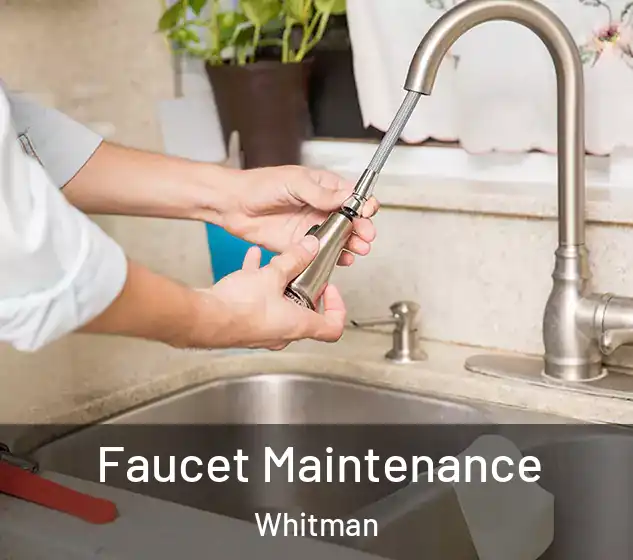  Faucet Maintenance Whitman
