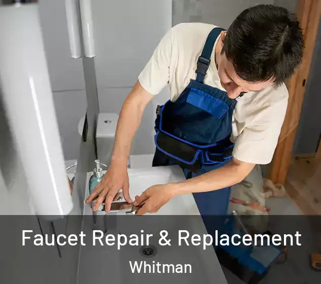  Faucet Repair & Replacement Whitman