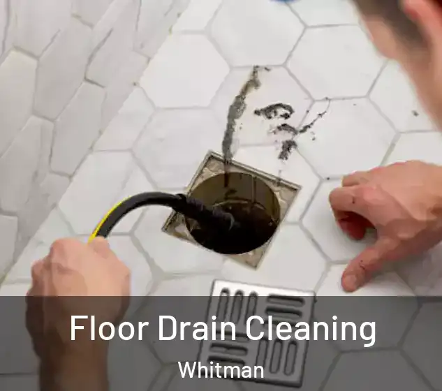  Floor Drain Cleaning Whitman