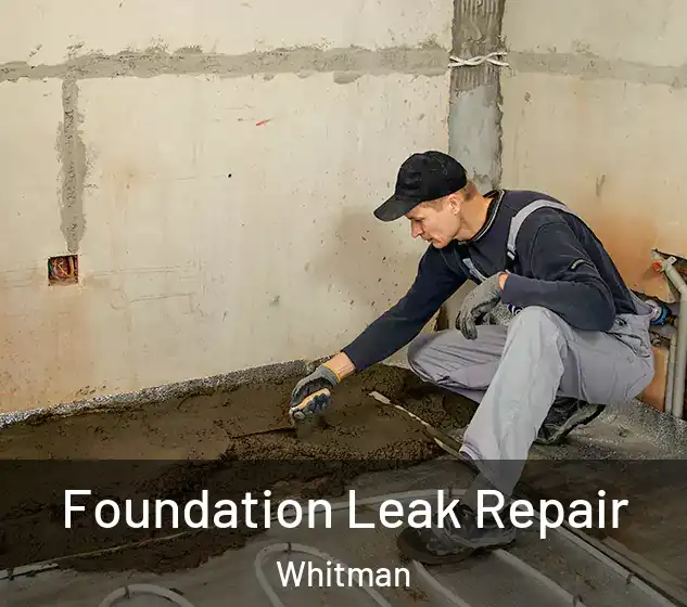  Foundation Leak Repair Whitman