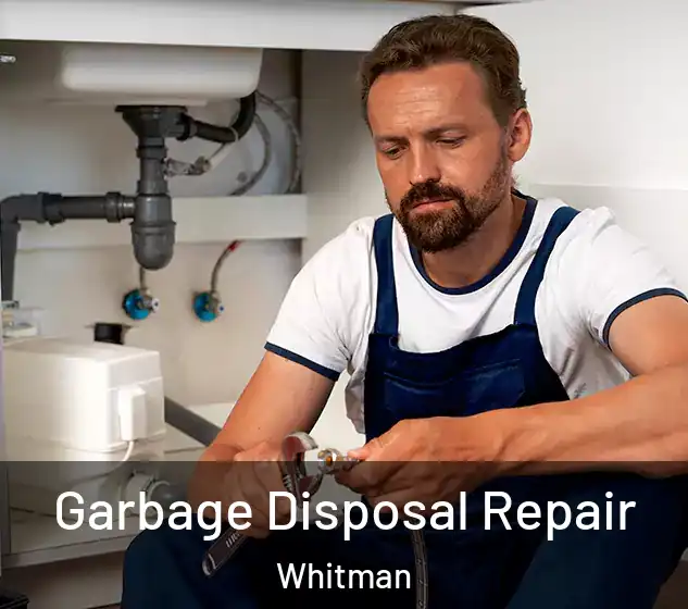  Garbage Disposal Repair Whitman