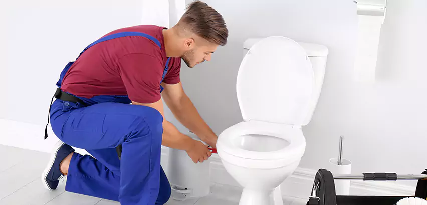 Scope of Bathroom Toilet Bowl Replacement Services in Whitman, MA