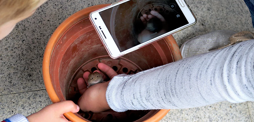 Scope of Drain Camera Inspection Services in Whitman, MA