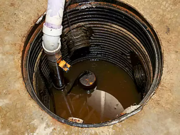 Why McKeon Plumbing is the First Choice for Sump Pump Maintenance Services in Whitman, MA?
