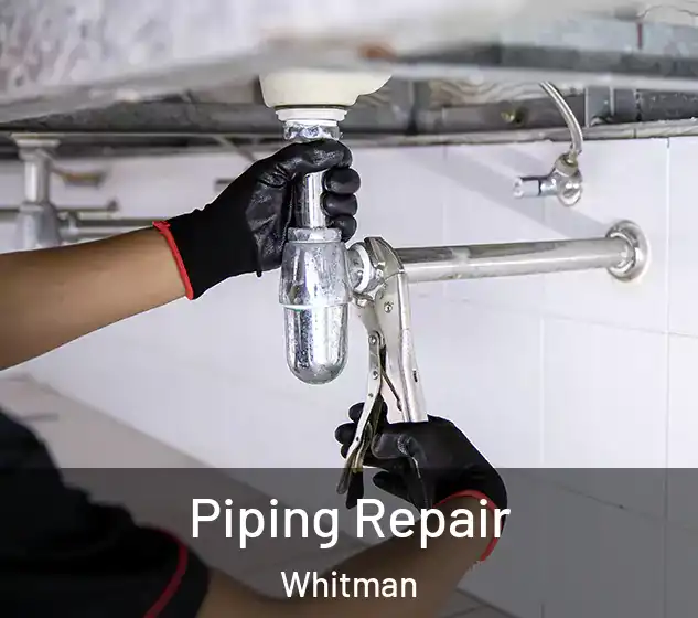  Piping Repair Whitman