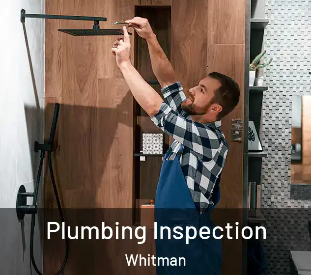  Plumbing Inspection Whitman