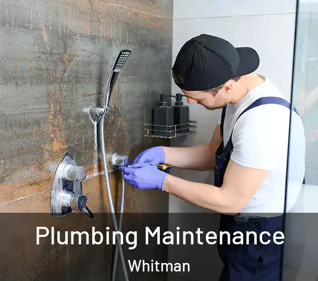  Plumbing Maintenance Whitman