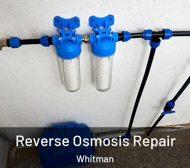  Reverse Osmosis Repair Whitman