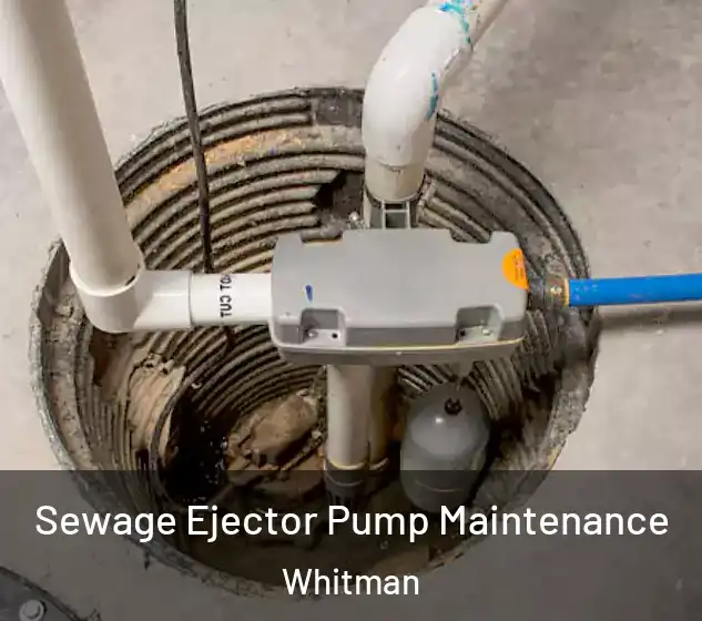  Sewage Ejector Pump Maintenance Whitman