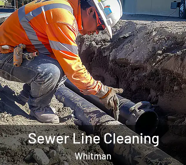  Sewer Line Cleaning Whitman