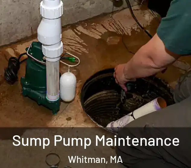  Sump Pump Maintenance Whitman, MA