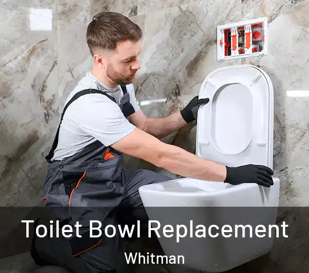 Toilet Bowl Replacement Whitman
