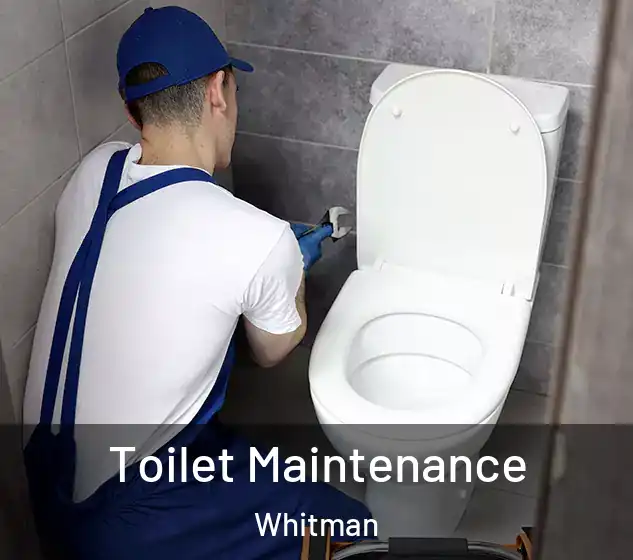  Toilet Maintenance Whitman