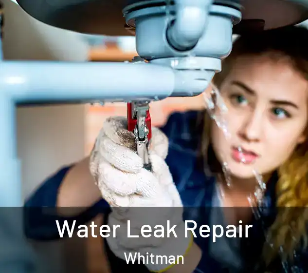  Water Leak Repair Whitman