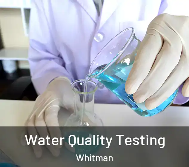  Water Quality Testing Whitman